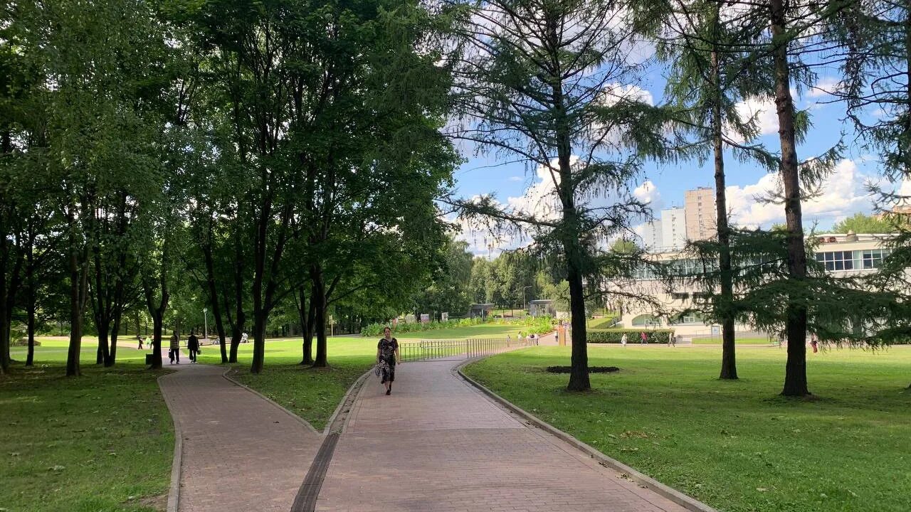 Лето в парке. Скверы Москвы. Фото в парке летом. Новый сквер на Коломенской.