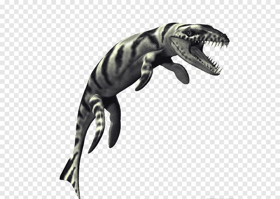 Дакозавр. Дакозавр (dakosaurus). dakosaurus maximus. дакозавр черно белый. нотозавр динозавр.
