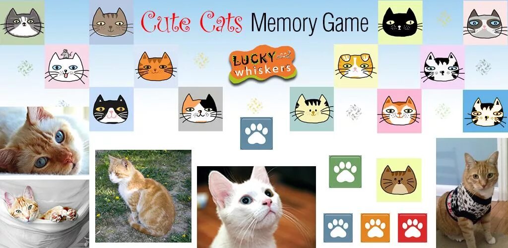 Мемори кошки. Cute Cats 2 игра. Игра Мемори кошки. Cat Flashback.