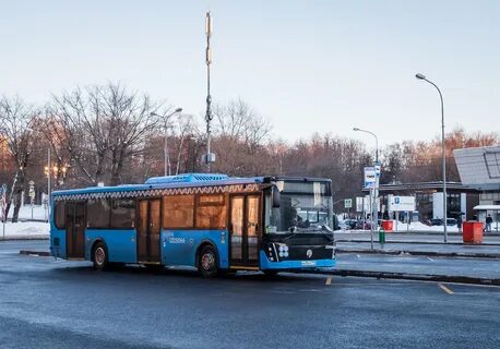 Автобус с799