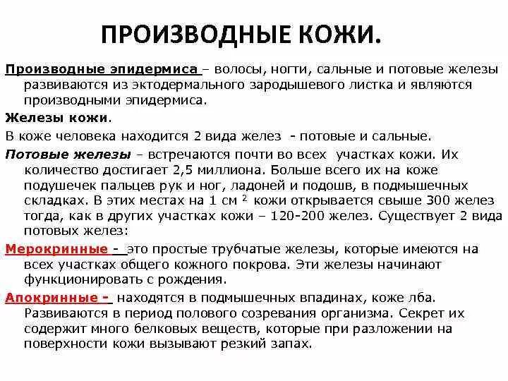 Какое происхождение волос. Потовые железы производные. Производные кожи. Производные кожи железы. Производные эпидермиса.