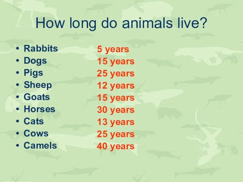 How long do animals Live. How long animals can Live. Хау Лонг. How long do they Live. How long have you been living