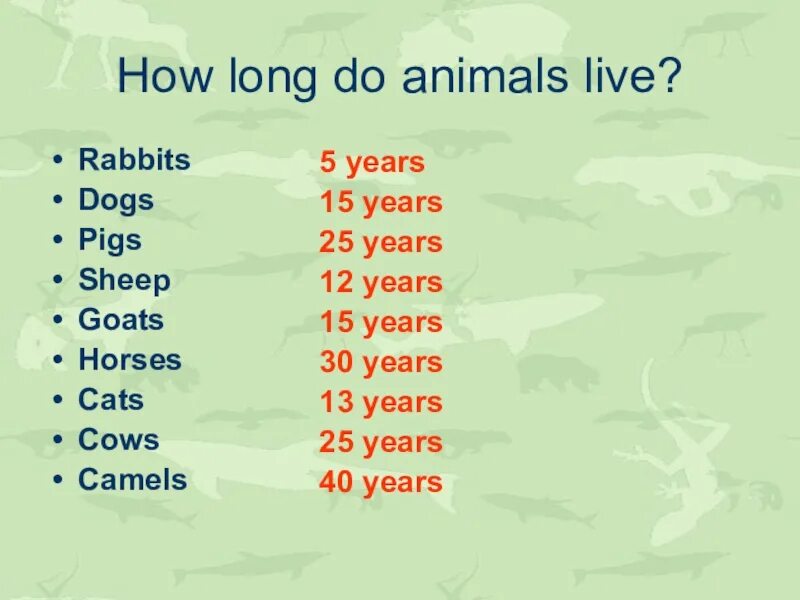 How many animals live