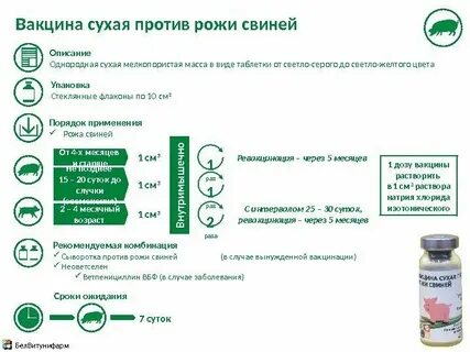 Рожа свиней сыворотка инструкция