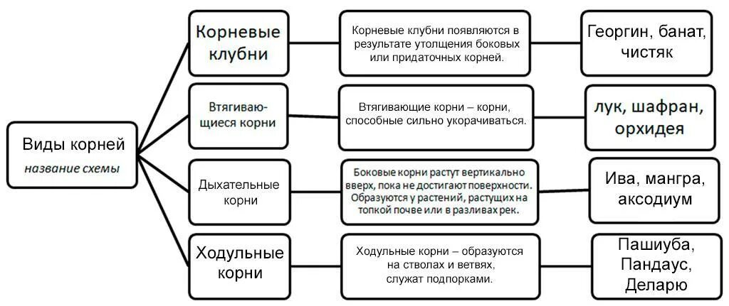 Дополните следующие положения. Рассмотрите приведенную ниже схему. дайте название схеме. дополните схему и приведите примеры. рассмотрите схему дополните ее и приведите примеры. рассмотрите схему и дополните ее приведите приведите примеры.