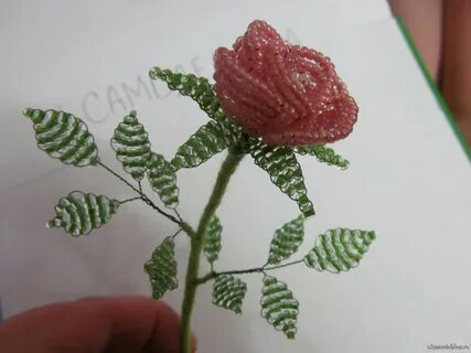 Заплела розы