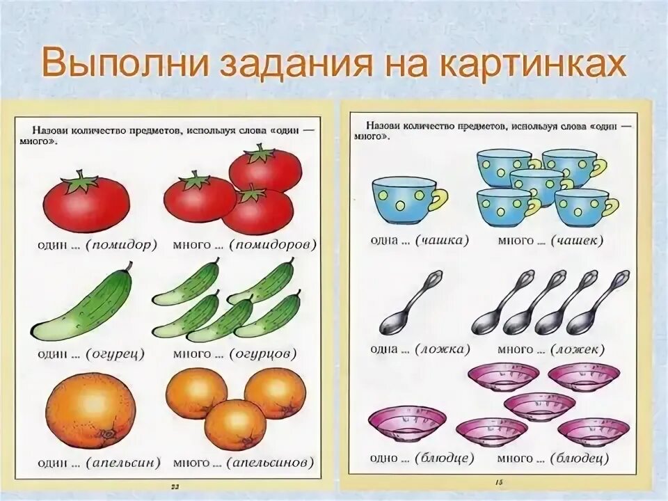 Множественное число имен существительных 5