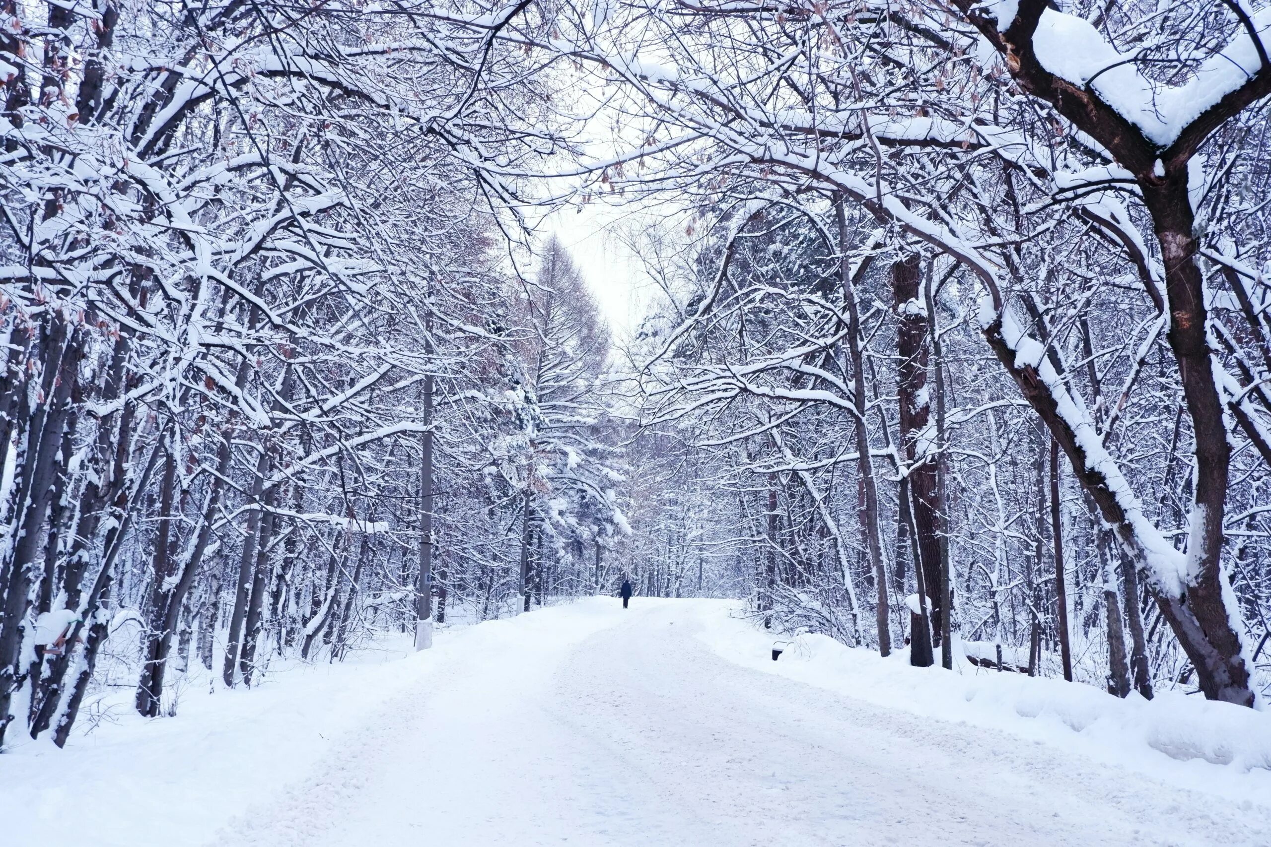 Зима в Крыму. Снег на закате. Зимний Вайб. 22 Января день снега. Snowfall watch