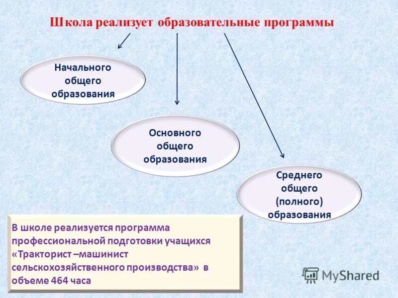 Реализуемые программы в школе. Школа реализует образовательные программы. Реализуемые общеобразовательные программы школы. Программы образования в школе.