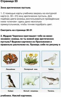 Окружающий мир рабочая тетрадь тема тундра