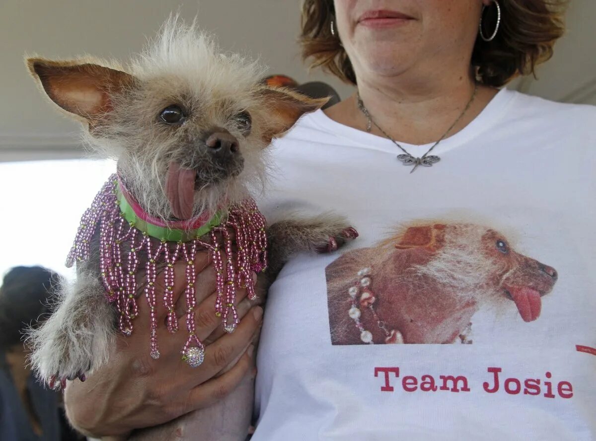 День безобразно хорошего настроения. День безобразно хорошего настроения. С днем безобразно хорошего настроения поздравление. Жертвы пластических операций. День безобразно хорошего настроения картинки.