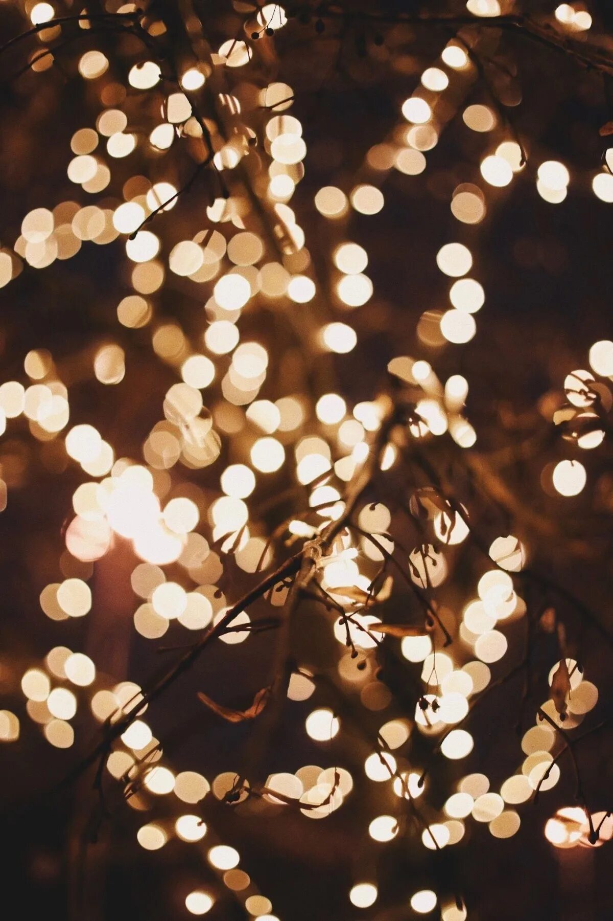 Гирлянда новогодняя. Новогодние огоньки. Гирлянда новогодняя. Новогодние огни. Гирлянда sh lights 1000 см otw200e.