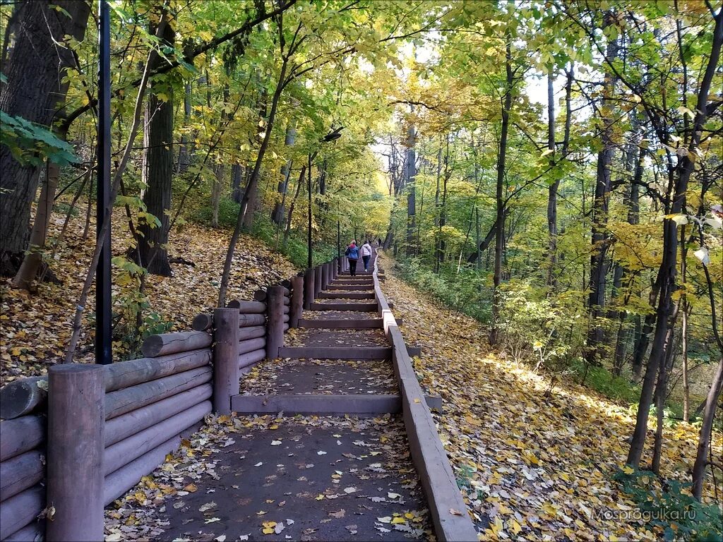 Метро тропа. Воробьевы горы тропа. Воробьёвы горы экотропа. Эко тропа Воробьевы горы. Смотровая площадка Воробьевы горы.