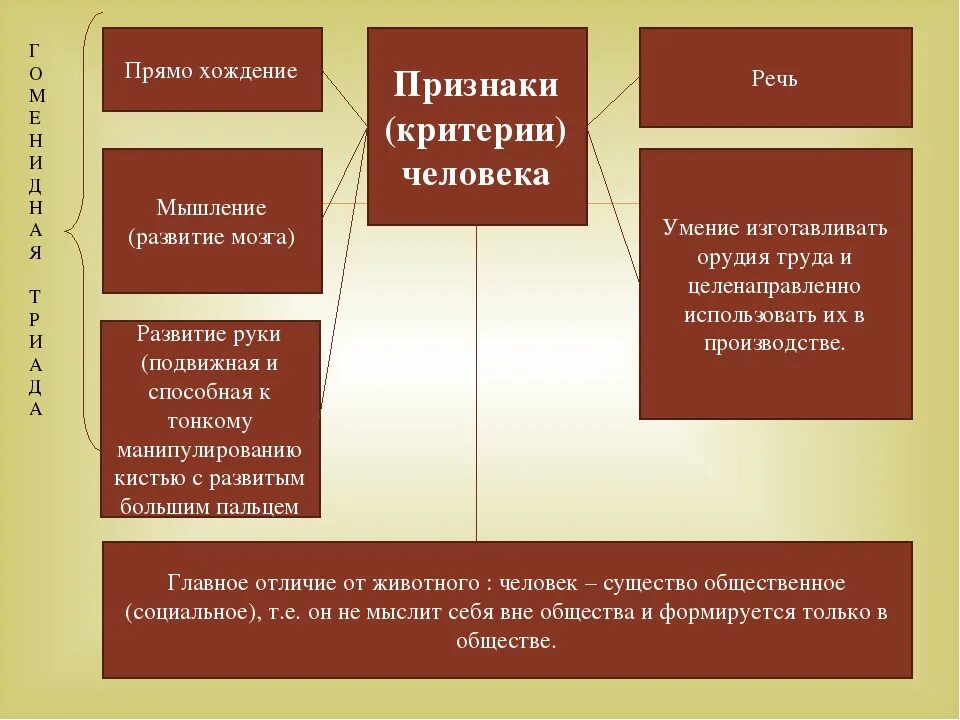 Главные признаки народа. Критерии человека. Признаки критерии человека. Перечислите критерии человека. Критерии формирования личности.