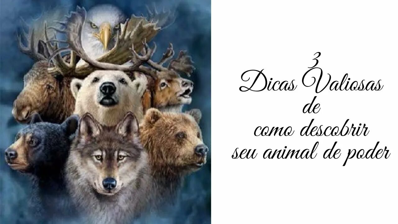 Тотемное животное крадущийся лис. Год крадущегося лиса. Крадущийся лис по славянскому гороскопу. Славянский календарь крадущийся лис. Славянский гороскоп животных.