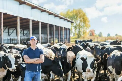 Farm am