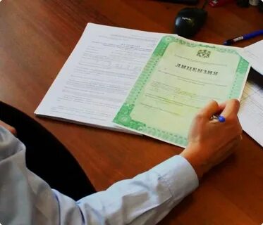 Сроки оформления лицензии