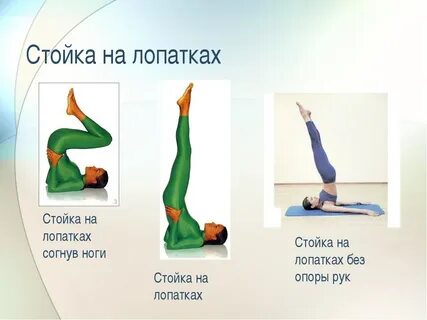 Гимнастический элемент кроссворд