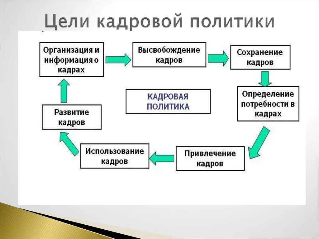 Направлениями кадровой стратегии. Цели кадровой политики. Понятие кадровая политика предприятия. Кадровая политика схема. Задачи кадровой политики.