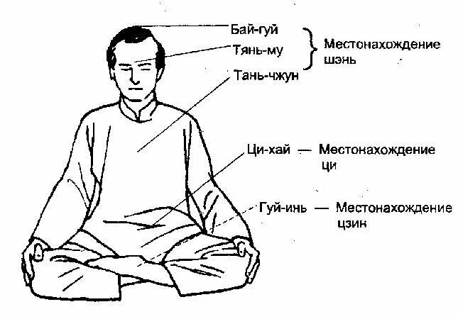 Проктикуя ци