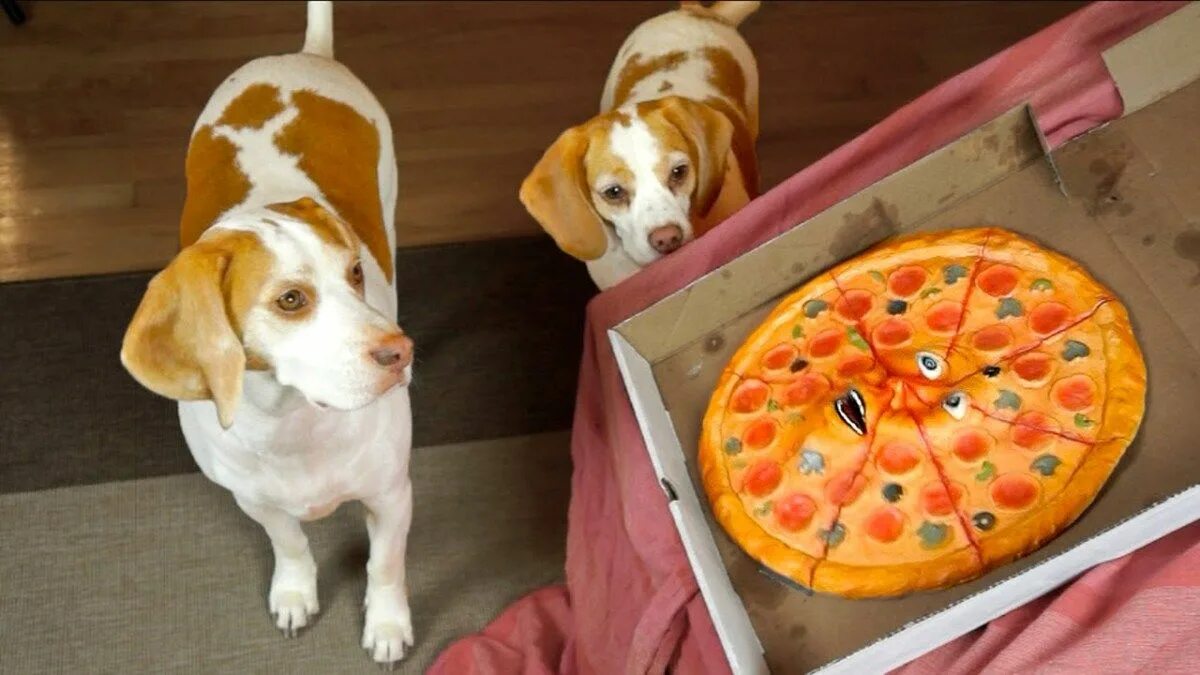 Бигль пицца лопатино. Пицца видное. Собака ест пиццу. Perro собака. Бигль пицца видное купелинка.