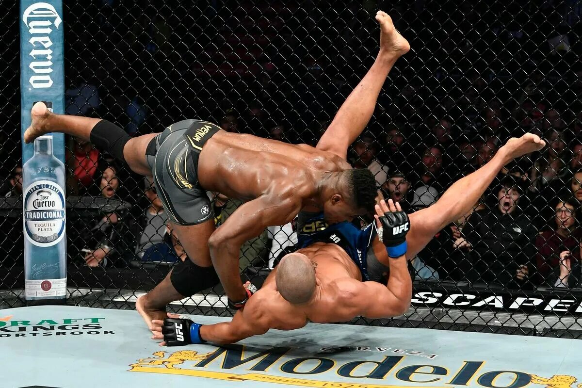 Игнасио бахамондес. Сирил нганну. Игра ufc 3 (ps4). Камару усман хорхе масвидаль. Тони фергюсон майкл чендлер нокаут.