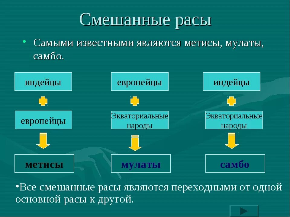 Расой называют людей. Смешанные расы людей названия таблица. Основные и смешанные расы. Характеристика смешанной расы. Названия смешанных рас людей.