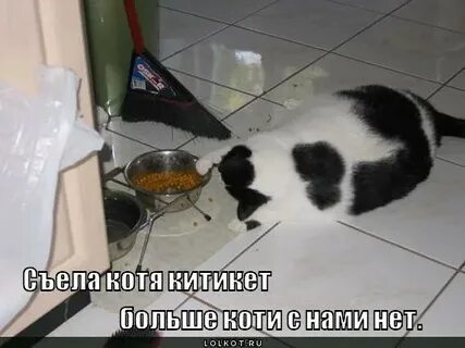 Пусть малышка доедает мне не жалко песня