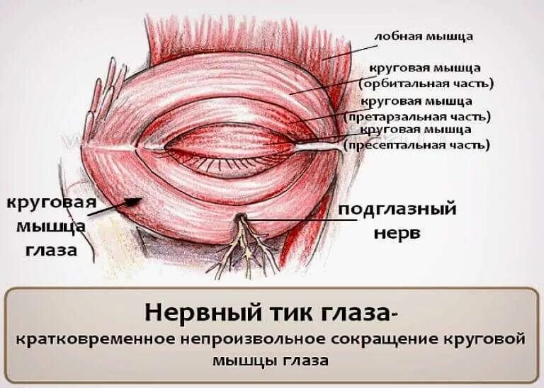 Как вылечить тики