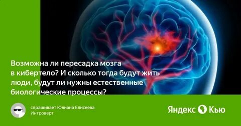Трансплантация мозга человека