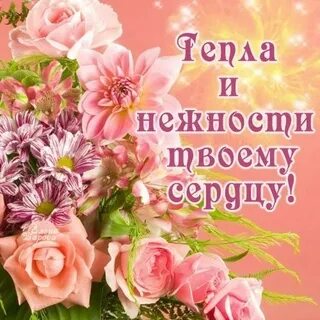 Открытка с днем нежности