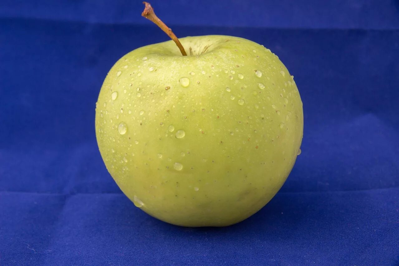 Яблоки ГРЕННИ Смит. Сорт яблок ГРЕННИ Смит. Яблочко фрукт. Яблоко фото для детей. Яблоко плодовый
