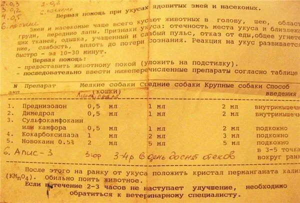 Сколько давать супрастина собаке. Димедрол собаке дозировка. Дозировка димедрола для собак в ампулах. Димедрол таблетки для собак дозировка.