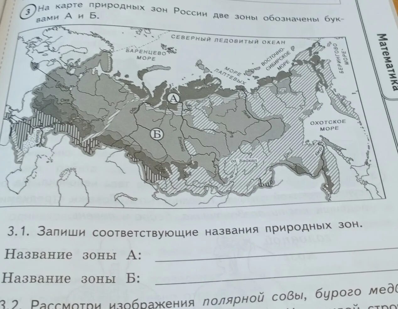 Природные зоны впр 4. На карте природных зон России две зоны обозначены. Карта природных зон России 4 класс. Карта природных зон а и б. Карта природных зон Северный Ледовитый океан.