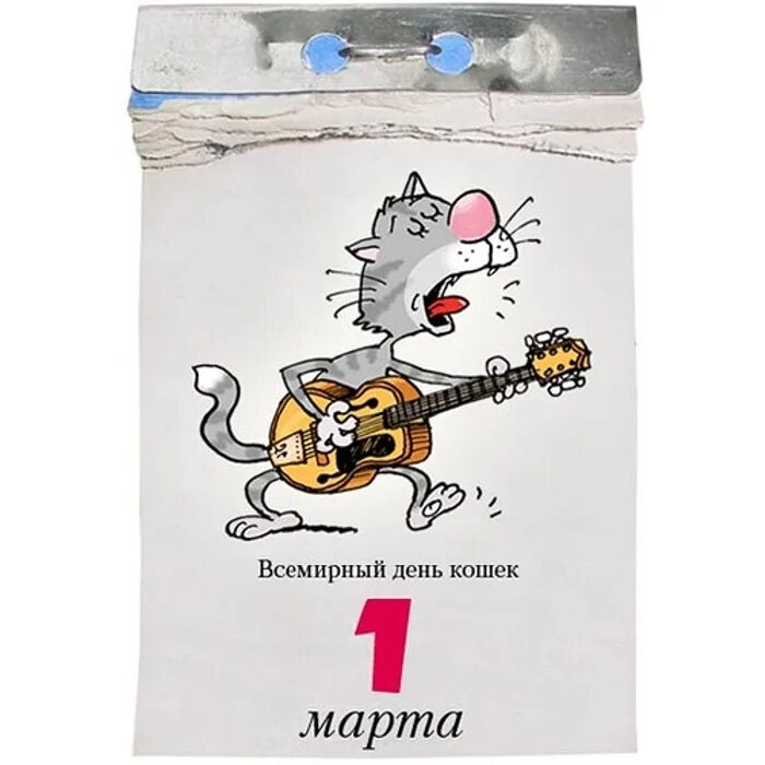 1 марта - день кошек - Ульяновский областной Фонд защиты животных "Флора и Лавра