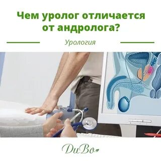 Детского уролога андролога кто это