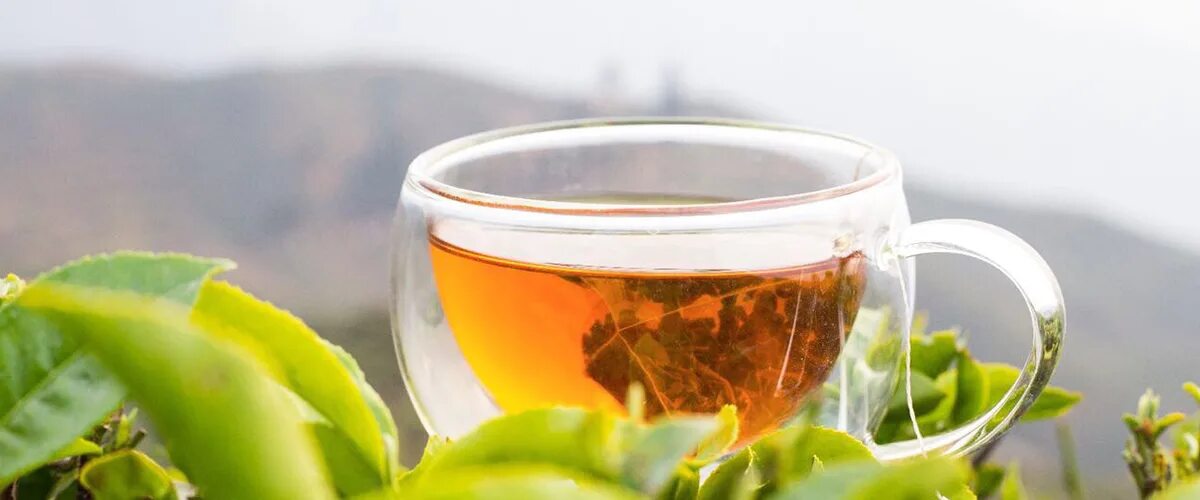 Чай лайк. Jay Shree Tea 300г. Чай листовой Pure Tea Bio Aman Darjeeling. Чудо чай лайк. Green Tea story.