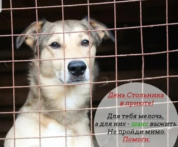 Р помогал