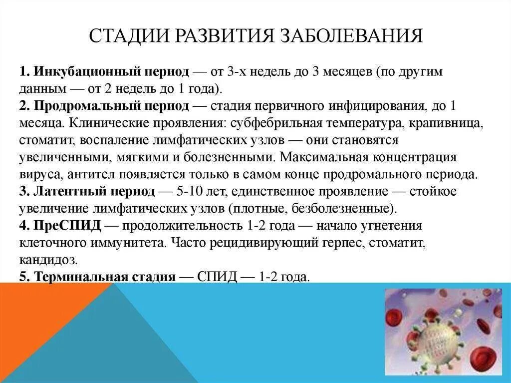 Стадии развития болезни. Кандидоз инкубационный период. Инкубационный период молочницы у женщин. Кандидомикоз инкубационный период. Молочница инкубационный