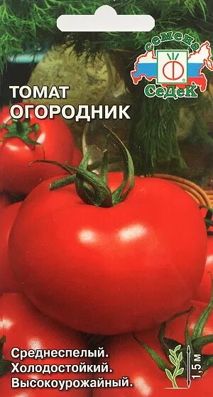 СЕМЕНА МОГИЛЕВ - Заметки OK.RU