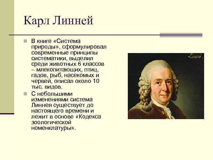 Почему к линней. Почему к линней