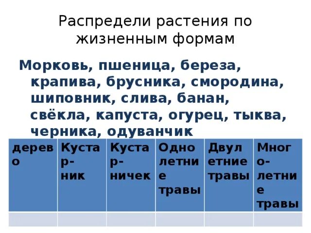 Распределите растения по 3 группам. Распредели растения. распредели растения по группам. распределите растения по их жизненным формам.