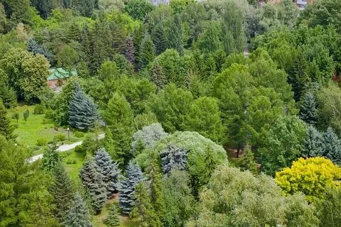 Дендропарк омск