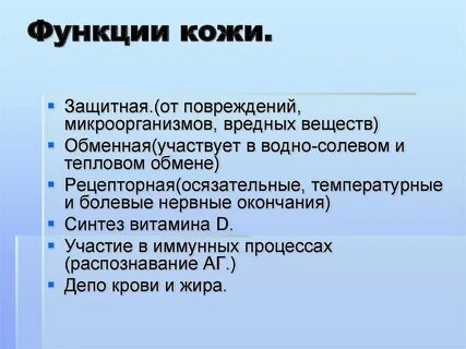 Какие 3 функции выполняет кожа