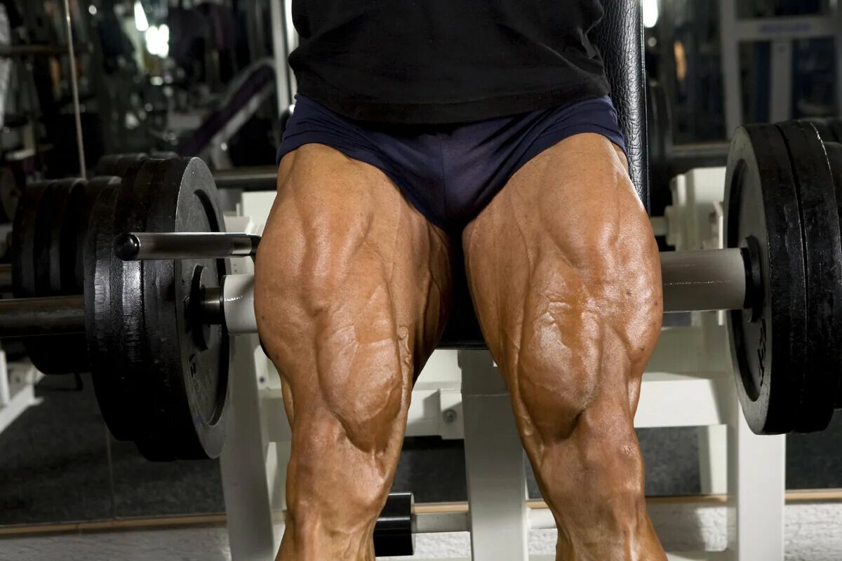 Ноги и мышцы все время. Мышцы ног квадрицепс. Четырехглавая мышца квадрицепс. Накаченные ноги. Мощные ноги.
