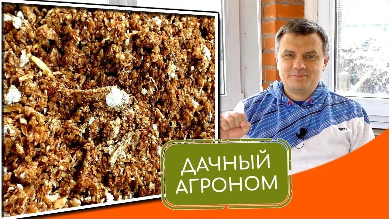 Дачный агроном бокаши. Дачный агроном юля и вячеслав. Дачный агроном бокаши. Юлия петровна дачный агроном. Дачный агроном.