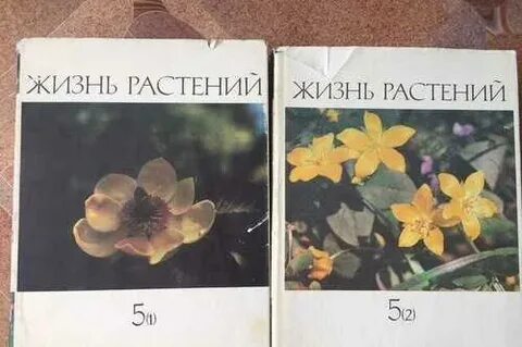 Учебник жизнь растений