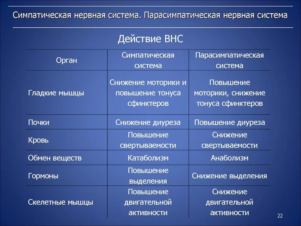 Нервный отдел и функции парасимпатической. Таблица ВНС симпатический и парасимпатический отделы. Симпатическая и парасимпатическая система. Парасимпатическая система и симпатическая система. Влияние симпатической и парасимпатической систем на органы таблица.