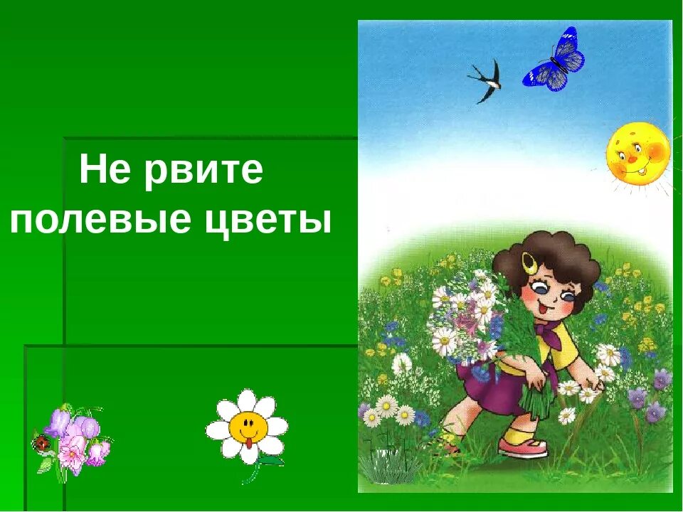 Не рвите полевые цветы. Нельзя рвать цветы. ЕК рвите цветы полевые. Не рвите цветы в лесу.