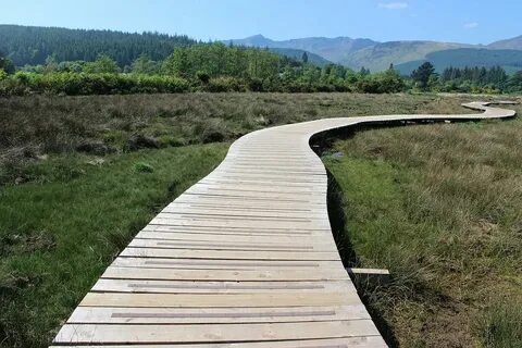 Path us